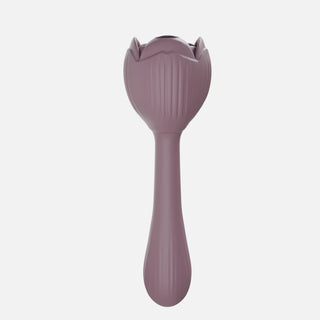 Pollion Suction Vibrator