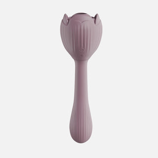Pollion Suction Vibrator