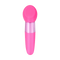 Rina Bullet Vibrator - Pink